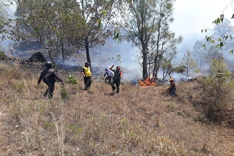 Hutan Di Lereng Gunung Batur Terbakar Balipost