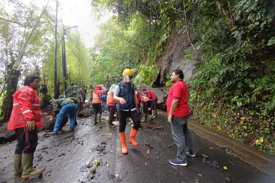 Gianyar Dikepung Bencana Pohon Tumbang Dan Longsor BALIPOST