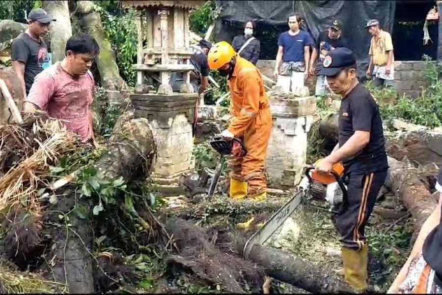 Sejumlah Palinggih Rusak Tertimpa Dahan Beringin BALIPOST