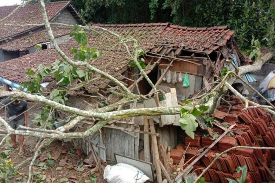 Pohon Tumbang Diterjang Angin Kencang Atap Dapur Warga Rusak