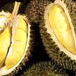 Durian. (BP/dok)