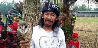 burung