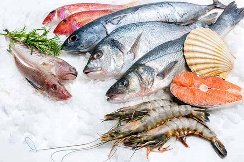 Konsumsi Ikan, Kualitas Tidur Anak Lebih Baik | BALIPOST.com
