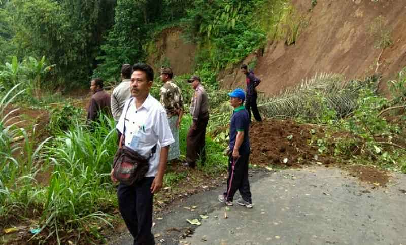 Tebing Setinggi 50 Meter Longsor Di Sulahan Hektaran Sawah Tertimbun