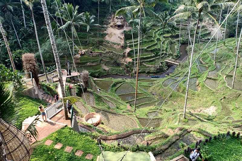 Agrotourism in Ubud