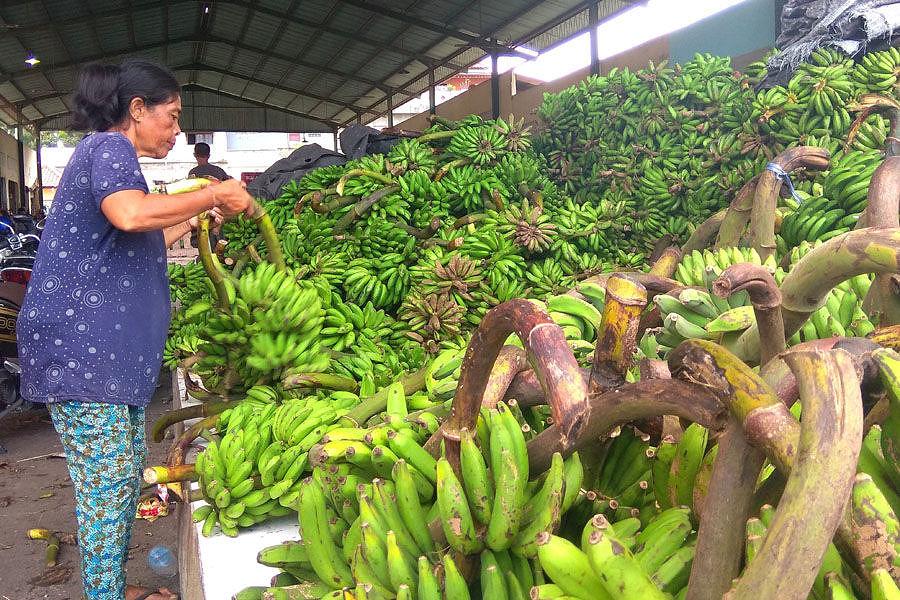 harga pisang di pasaran