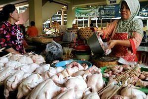 Harga Daging Ayam Melonjak Jelang Hari Raya Galungan dan ...