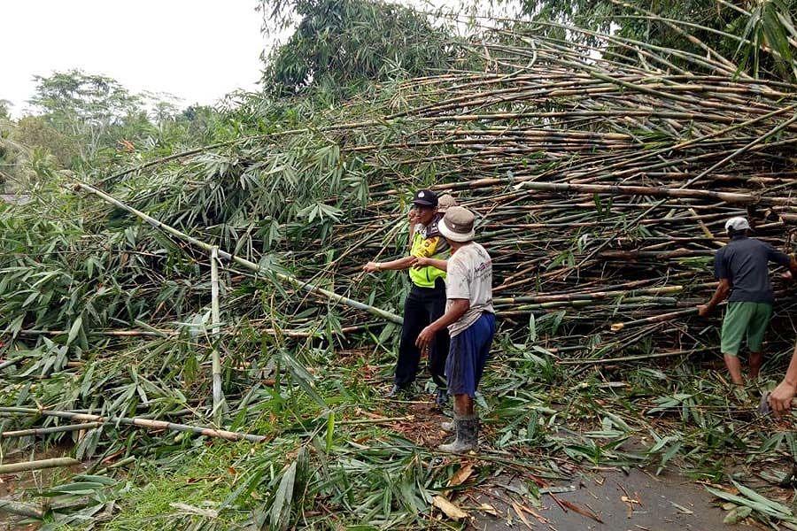 Hujan Deras Di Bangli Sebabkan Tanah Longsor Dan Pohon Tumbang ...