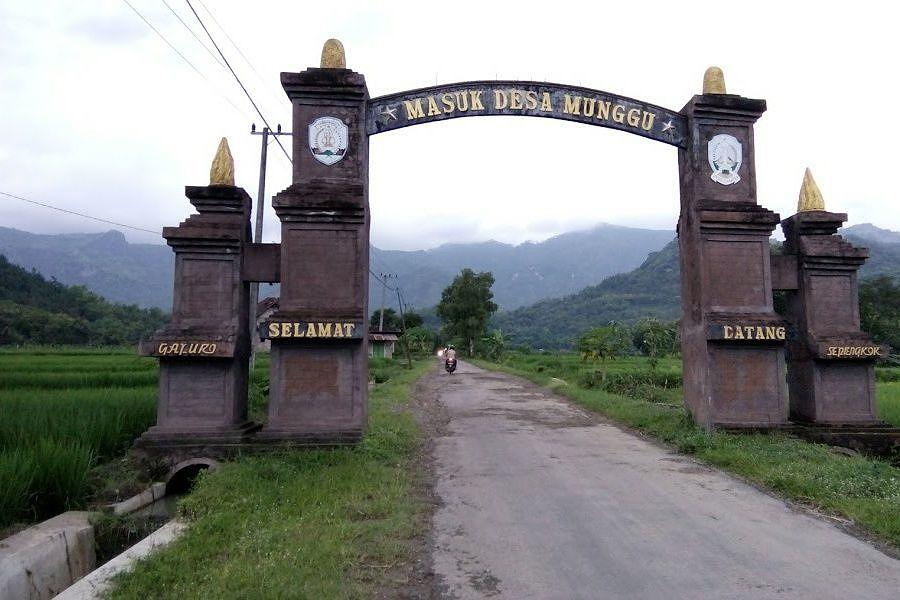 Kawasan di Badung Ini Ditetapkan Jalur Hijau  Pelanggaran 