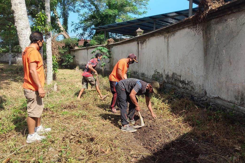 Pegawai KONI Tabanan  Bercocok Tanam di Areal Kantor 