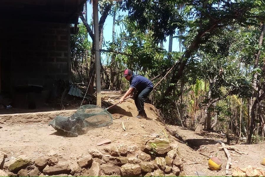 Jumlah Gigitan Anjing Rabies di Karangasem Capai 28 Kasus ...