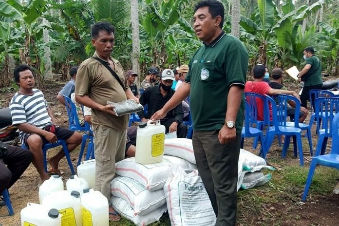 UPTD BPTPH, Intensifkan Gerakan Pengendalian Hama dan Penyakit Tanaman Pisang 2