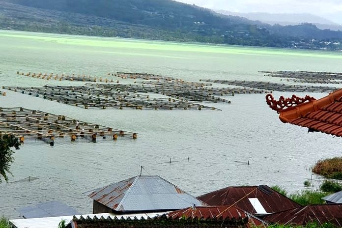 Ini Penyebabnya, Air Danau Batur Berubah Warna 2