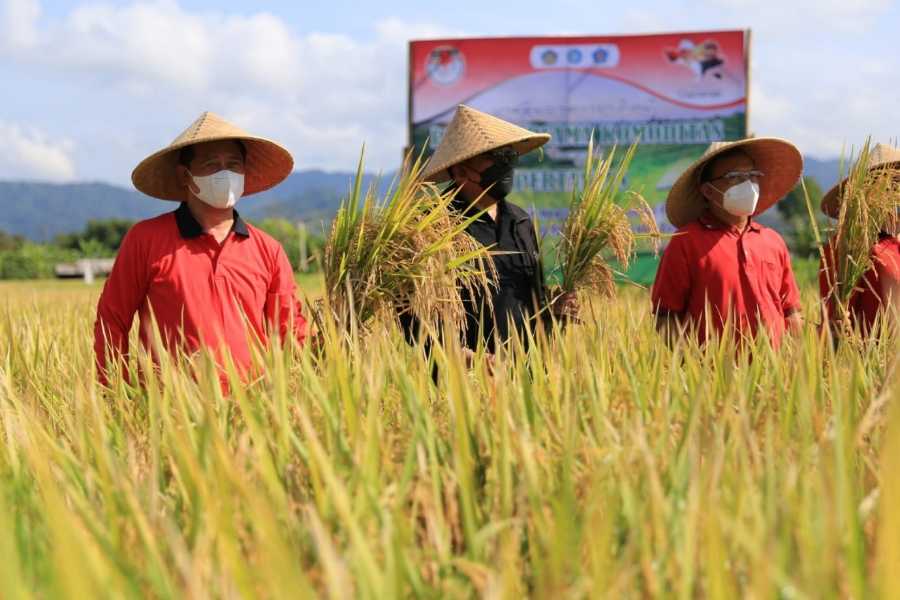 Dukung Koster Wujudkan Kedaulatan Pangan Bentuk Desa Mandiri Pangan