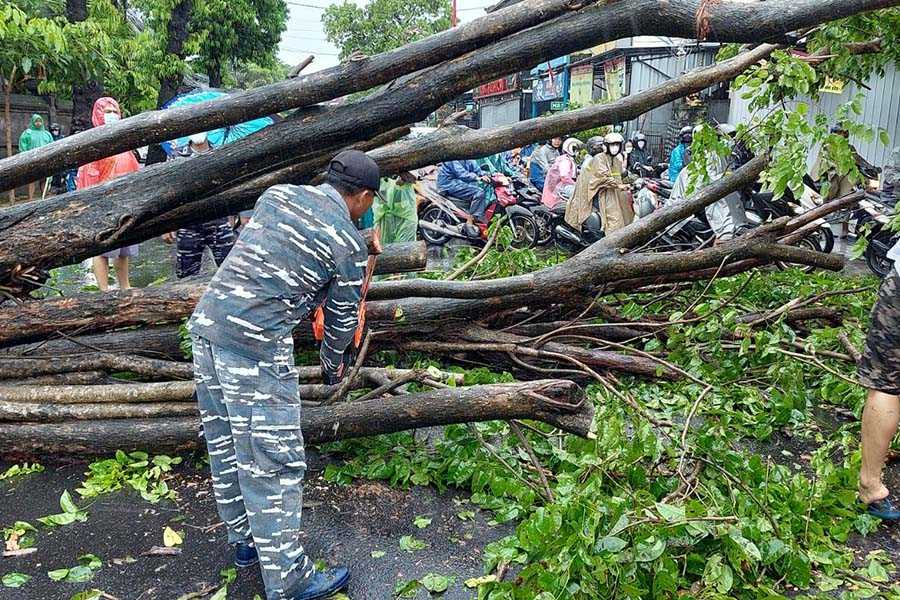 Denpasar Dilanda Bencana Pohon Tumbang | BALIPOST.com