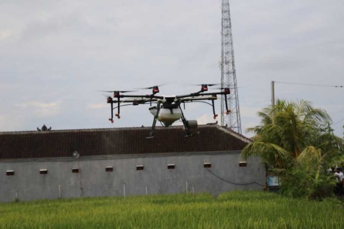 Gunakan Teknologi, Subak Melo Manfaatkan Drone untuk Pemupukan 2