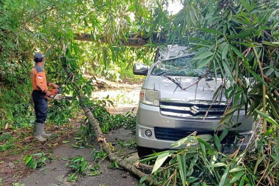 Pohon Tumbang Timpa Mobil Apv Yang Melintas 9414