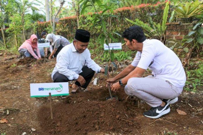 BRI Menanam Proyeksikan Serap Karbon hingga 108 Ribu Ton 2