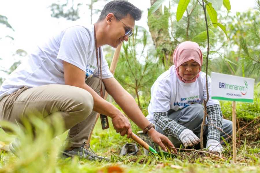 Nasabah Ungkap Manfaat "BRI Menanam" | BALIPOST.com