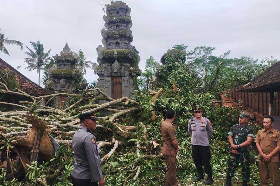 Pura Puseh Penyungsungan Tertimpa Pohon, Sejumlah Bangunan Rusak ...