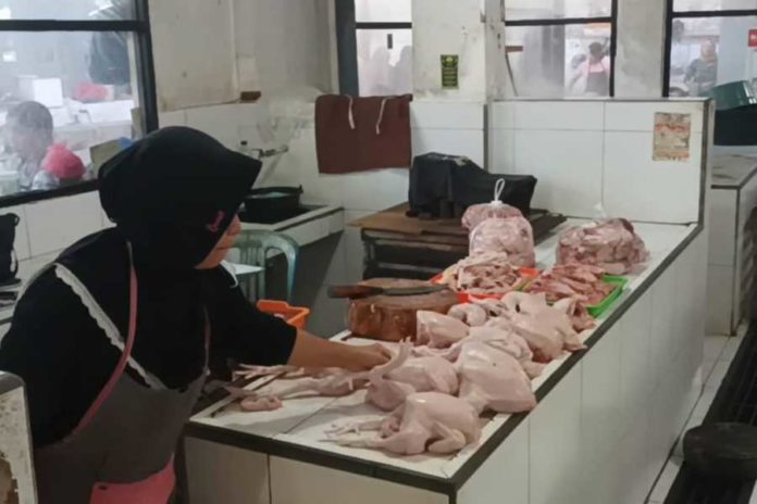 Menjamur hingga ke Desa, Pedagang Ayam Potong di Pasar Turun Omzet 2