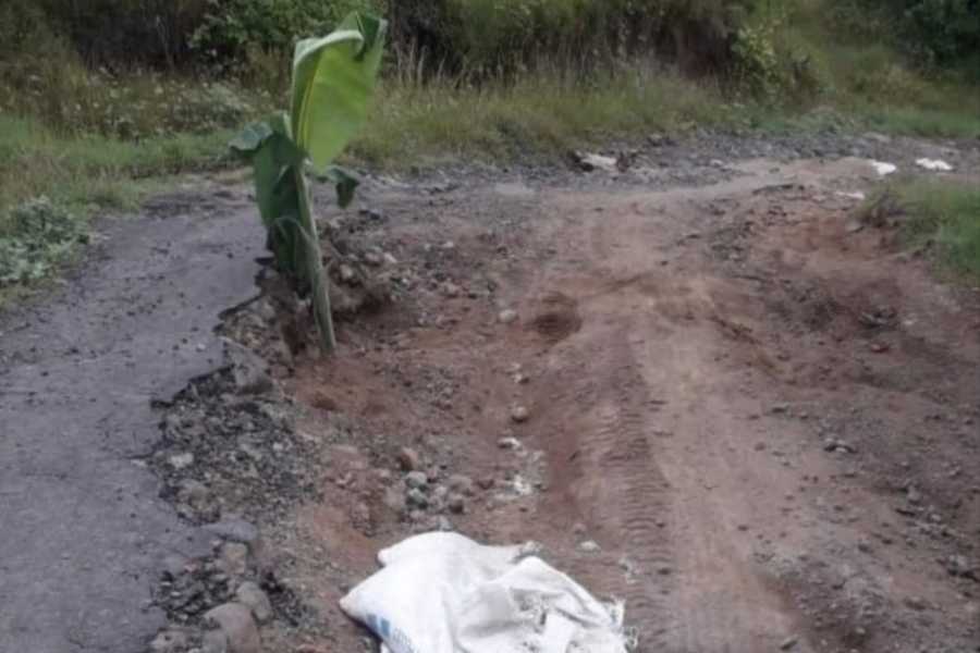 Jalan Penghubung Rusak Parah Warga Tanam Pohon Pisang 1