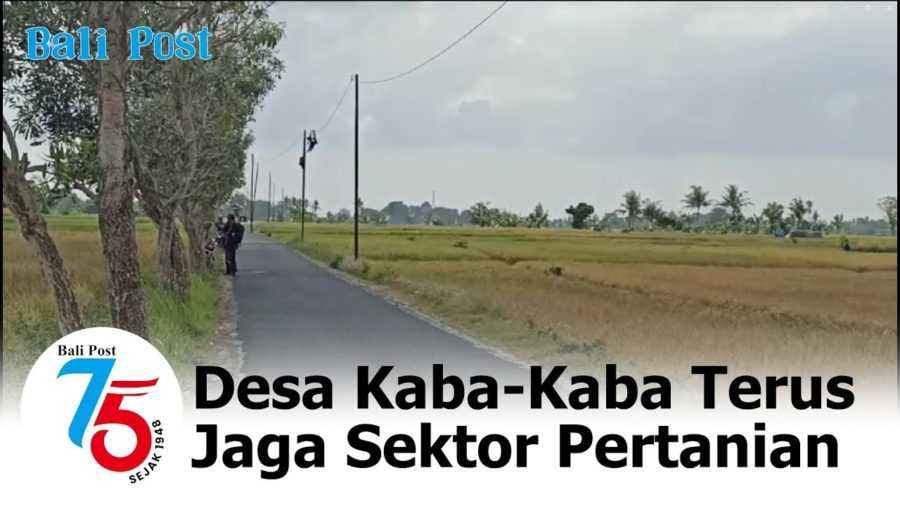 Desa Kaba-Kaba Jaga Sektor Pertanian 2