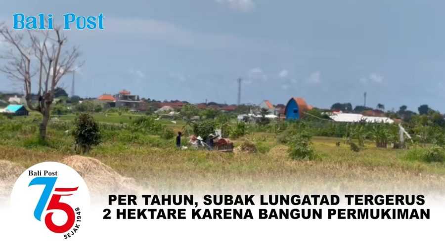 Per Tahun, Subak Lungatad Tergerus 2 Hektare Karena Bangun Permukiman 2