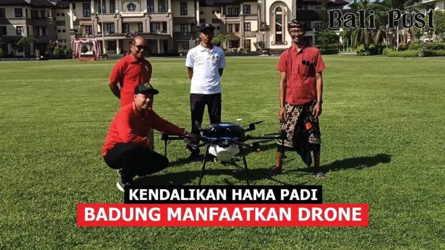 Kendalikan Hama Padi, Badung Manfaatkan Drone 2