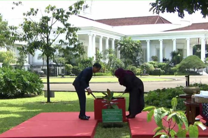 Presiden Tanzania Tanam Pohon Perdamaian di Istana Bogor 2