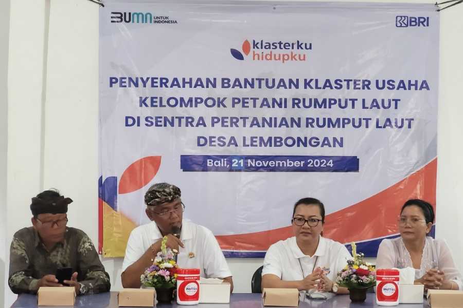 Dukung Pertanian Rumput Laut, BRI Bantu Sapras hingga KUR