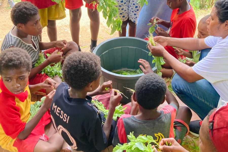 Anak Papua Lebih Semangat Belajar Setelah Ada Uji Coba MBG