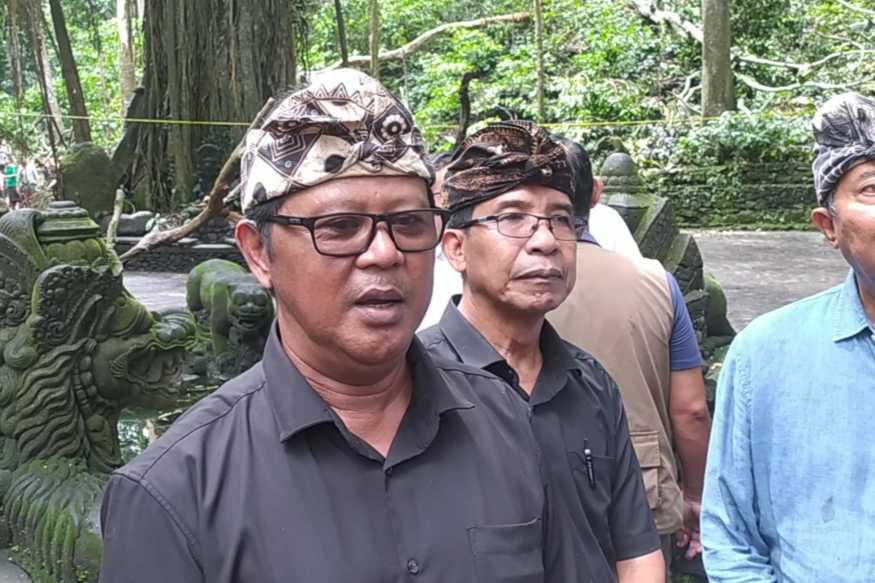 Desa Adat Padangtegal Bertanggungjawab Penuh Penanganan Korban Pohon Tumbang di Monkey Forest