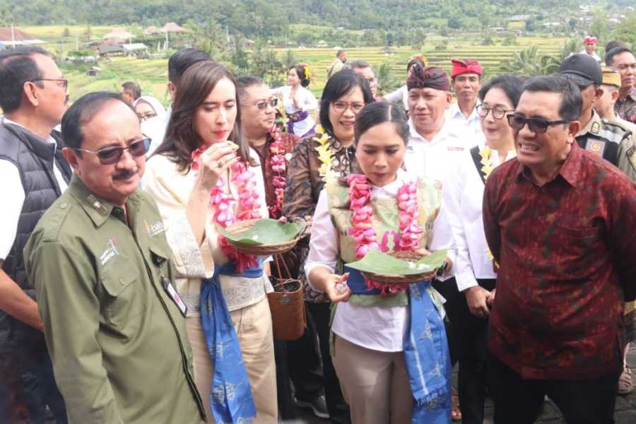 Kunjungi Jatiluwih, Menpar Cicipi Laklak Beras Merah