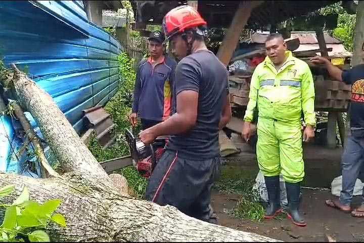 Pohon Tumbang Rusak Rumah di Gebagan