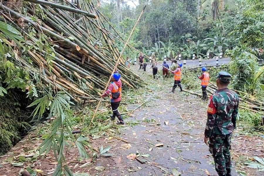 Rumpun Bambu Tutup Jalan Tegalalang-Tambahan